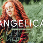 40 پریست لایت روم پرتره فضای باز و پریست کمرا راو و اکشن فتوشاپ Angelica Lightroom Presets﻿