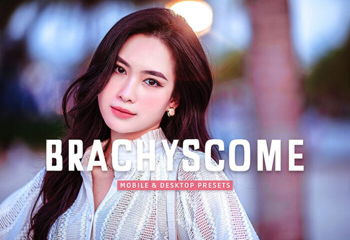 40 پریست لایت روم پرتره فضای باز و پریست کمرا راو و اکشن فتوشاپ Brachyscome Lightroom Presets