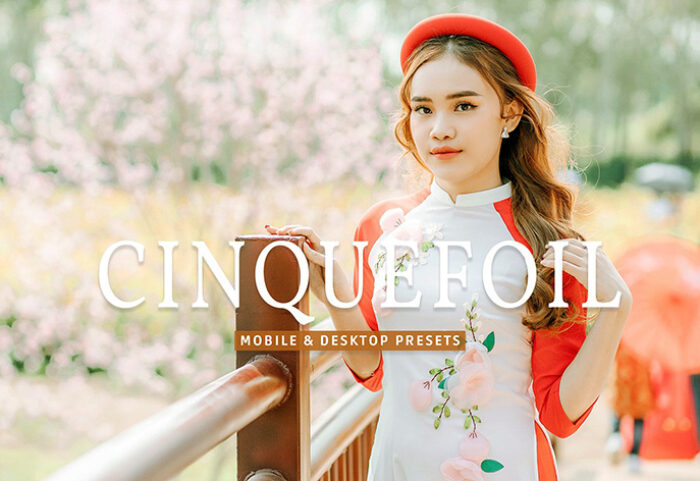 40 پریست لایت روم پرتره فضای باز و پریست کمرا راو و اکشن فتوشاپ Cinquefoil Lightroom Presets
