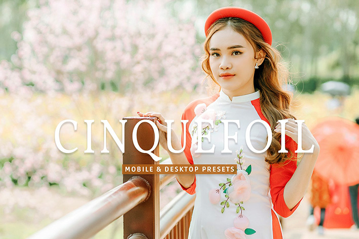 40 پریست لایت روم پرتره فضای باز و پریست کمرا راو و اکشن فتوشاپ Cinquefoil Lightroom Presets 40 پریست لایت روم پرتره فضای باز و پریست کمرا راو و اکشن فتوشاپ Cinquefoil Lightroom Presets