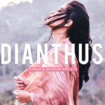 40 پریست لایت روم پرتره فضای باز و پریست کمرا راو و اکشن فتوشاپ Dianthus Lightroom Presets
