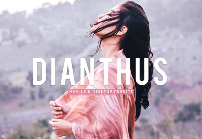 40 پریست لایت روم پرتره فضای باز و پریست کمرا راو و اکشن فتوشاپ Dianthus Lightroom Presets