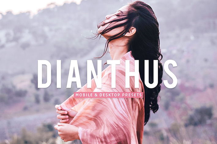 40 پریست لایت روم پرتره فضای باز و پریست کمرا راو و اکشن فتوشاپ Dianthus Lightroom Presets 40 پریست لایت روم پرتره فضای باز و پریست کمرا راو و اکشن فتوشاپ Dianthus Lightroom Presets