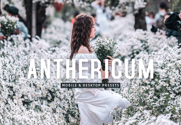 40 پریست لایت روم پرتره و پریست کمرا راو و اکشن فتوشاپ تم بهاری Anthericum Lightroom Presets