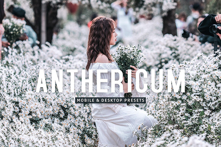 40 پریست لایت روم پرتره و پریست کمرا راو و اکشن فتوشاپ تم بهاری Anthericum Lightroom Presets 40 پریست لایت روم پرتره و پریست کمرا راو و اکشن فتوشاپ تم بهاری Anthericum Lightroom Presets