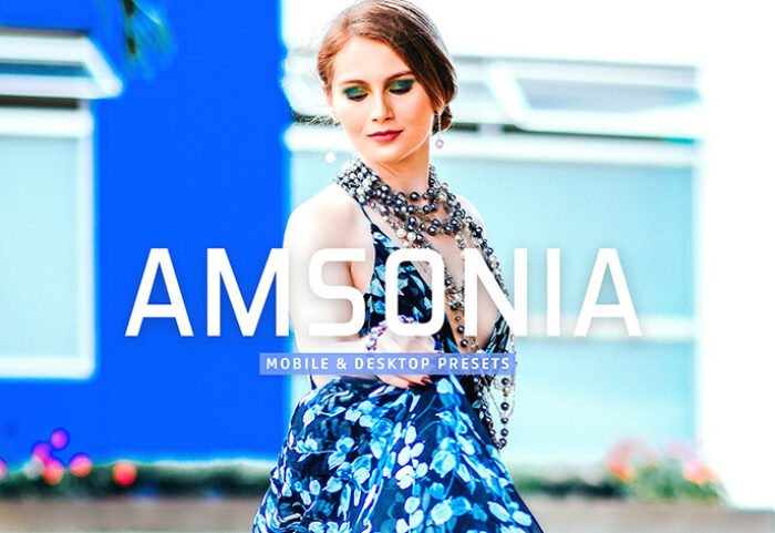 40 پریست لایت روم پرتره و پریست کمرا راو و اکشن فتوشاپ تم لایف استایل Amsonia Lightroom Presets