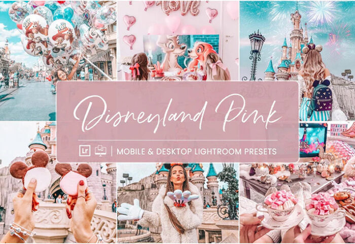 10 پریست لایت روم 2022 حرفه ای تم شهر بازی Disneyland Preset Collection