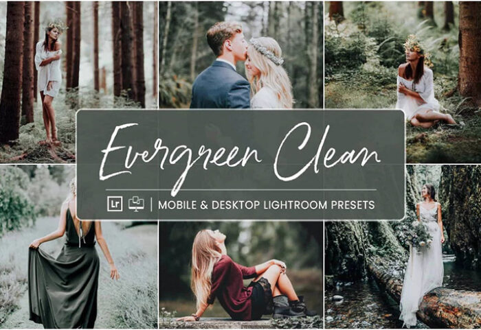 10 پریست لایت روم 2022 حرفه ای رنگی تم جنگل Evergreen Clean Preset