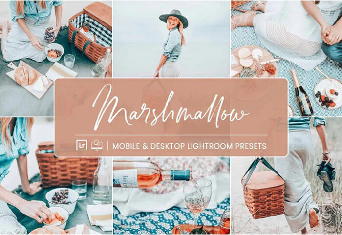 10 پریست لایت روم 2022 حرفه ای رنگی تم پیک نیک Marsmallow Preset Collection