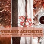 14 پریست لایت روم 2022 حرفه ای فصل پاییز Vibrant Aesthetic Lightroom
