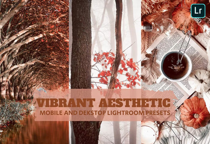 14 پریست لایت روم 2022 حرفه ای فصل پاییز Vibrant Aesthetic Lightroom