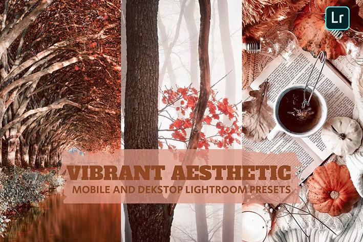 14 پریست لایت روم 2022 حرفه ای فصل پاییز Vibrant Aesthetic Lightroom 14 پریست لایت روم 2022 حرفه ای فصل پاییز Vibrant Aesthetic Lightroom