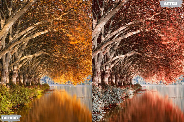 14 پریست لایت روم 2022 حرفه ای فصل پاییز Vibrant Aesthetic Lightroom 14 پریست لایت روم 2022 حرفه ای فصل پاییز Vibrant Aesthetic Lightroom