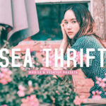 40 پریست لایت روم فضای باز و پریست کمرا راو و اکشن فتوشاپ تم پرتره Sea Thrift Lightroom Presets