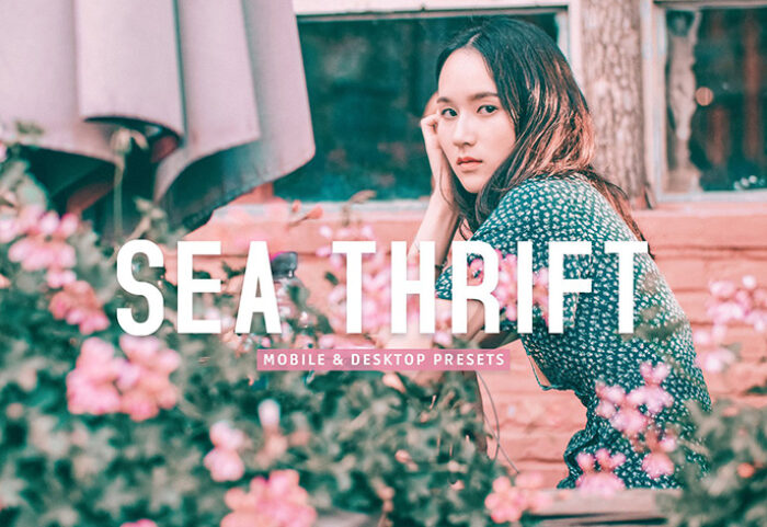 40 پریست لایت روم فضای باز و پریست کمرا راو و اکشن فتوشاپ تم پرتره Sea Thrift Lightroom Presets