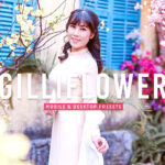 40 پریست لایت روم پرتره و پریست کمرا راو و اکشن فتوشاپ تم بهار Gilliflower Lightroom Presets