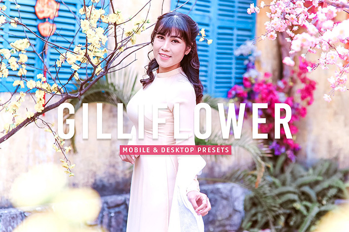 40 پریست لایت روم پرتره و پریست کمرا راو و اکشن فتوشاپ تم بهار Gilliflower Lightroom Presets 40 پریست لایت روم پرتره و پریست کمرا راو و اکشن فتوشاپ تم بهار Gilliflower Lightroom Presets