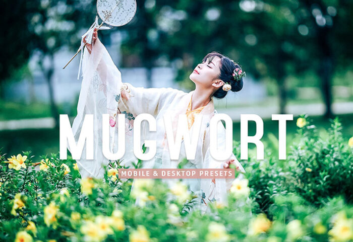 40 پریست لایت روم پرتره و پریست کمرا راو و اکشن فتوشاپ تم تابستان Mugwort Lightroom Presets