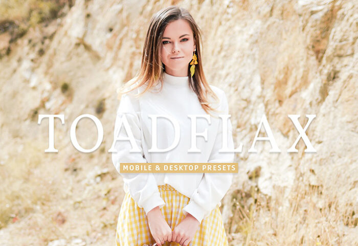 40 پریست لایت روم پرتره و پریست کمرا راو و اکشن فتوشاپ تم تابستان گرم Toadflax Lightroom Presets
