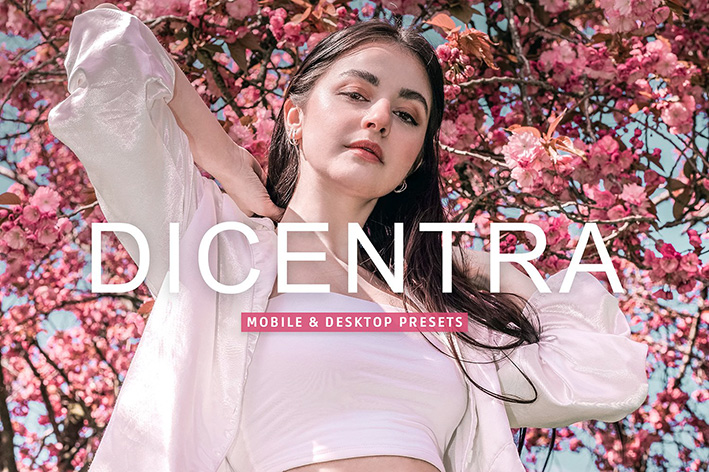40 پریست لایت روم پرتره و پریست کمرا راو و اکشن فتوشاپ تم مدرن Dicentra Lightroom Presets 40 پریست لایت روم پرتره و پریست کمرا راو و اکشن فتوشاپ تم مدرن Dicentra Lightroom Presets