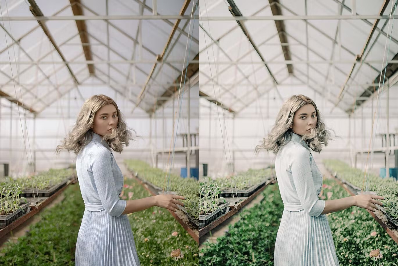 75 پریست لایت روم و لات رنگی سینماتیک Alpine Green Lightroom Presets and LUTs 75 پریست لایت روم و لات رنگی سینماتیک Alpine Green Lightroom Presets and LUTs
