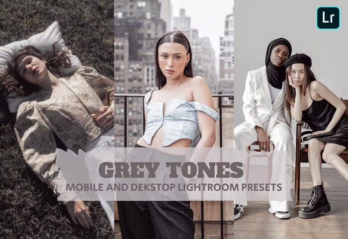 14 پریست لایت روم 2022 حرفه ای تم رنگ طوسی Grey Tones Lightroom Presets