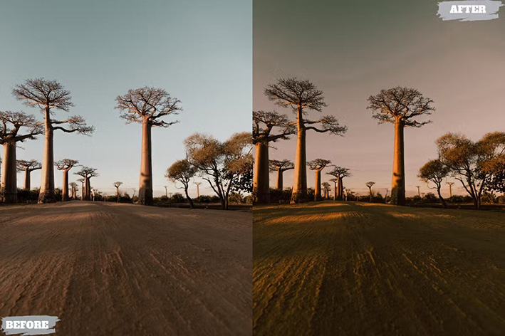 14 پریست لایت روم 2022 حرفه ای تم مات رنگی قدیمی Matte Retro Lightroom Presets 14 پریست لایت روم 2022 حرفه ای تم مات رنگی قدیمی Matte Retro Lightroom Presets
