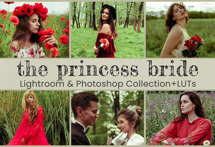 32 پریست لایت روم و اکشن فتوشاپ و لات رنگی تم پرنسس Princess Bride Lightroom Presets