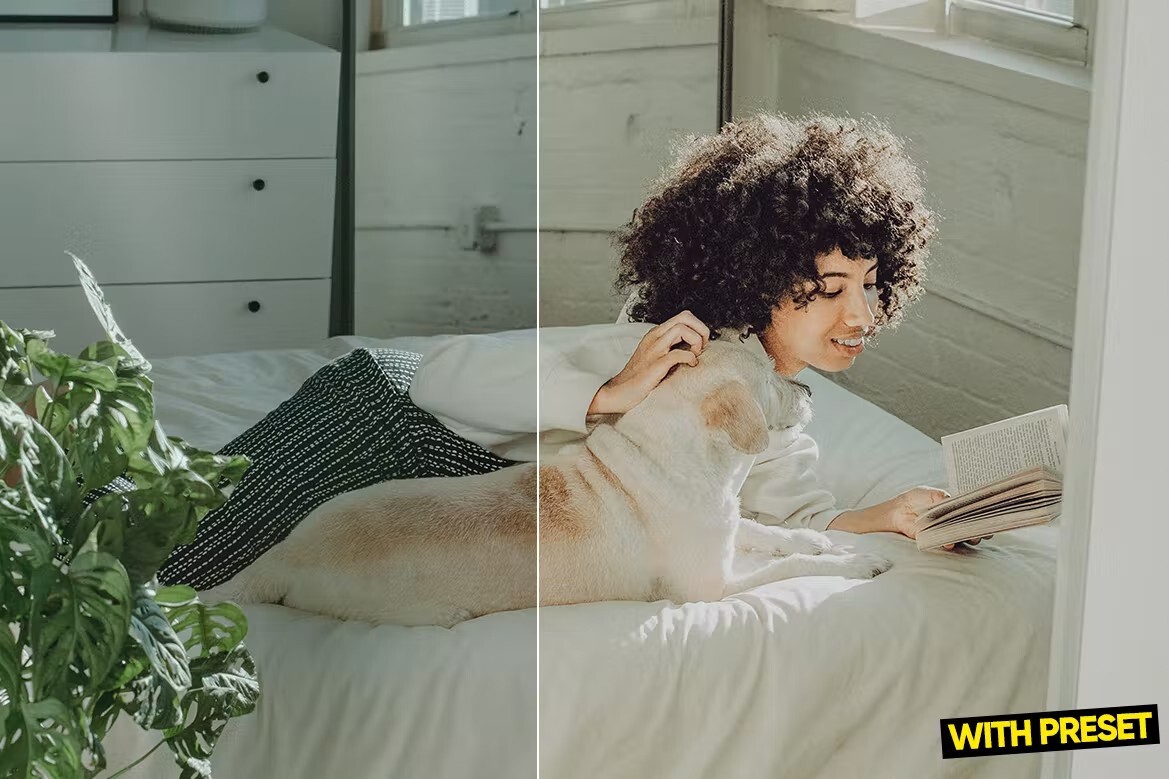 8 پریست لایت روم حرفه ای تم روز تعطیل ARTA Lazy Day Presets for Lightroom 8 پریست لایت روم حرفه ای تم روز تعطیل ARTA Lazy Day Presets for Lightroom