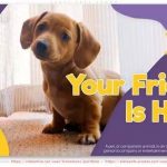 پروژه افتر افکت معرفی و تبلیغات پت شاپ Adopt Pets Promo