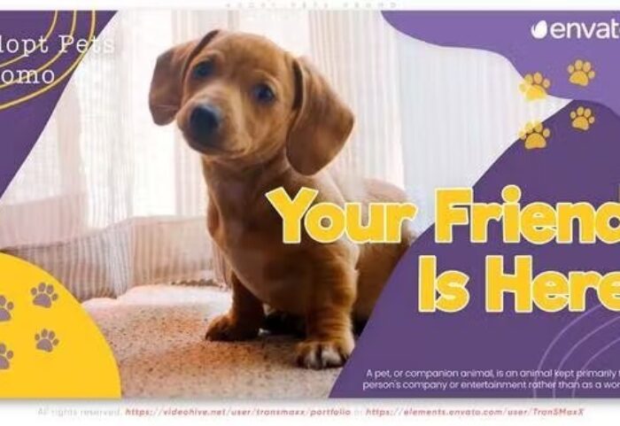 پروژه افتر افکت معرفی و تبلیغات پت شاپ Adopt Pets Promo