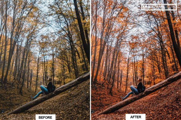 30 پریست لایت روم 2022 فوق حرفه ای تم پاییز رنگی AUTUMN MOODY Lightroom Presets