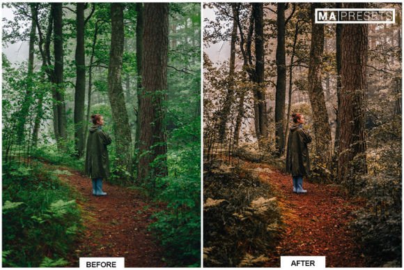30 پریست لایت روم 2022 فوق حرفه ای تم پاییز زیبا AUTUMN Lightroom Presets 30 پریست لایت روم 2022 فوق حرفه ای تم پاییز زیبا AUTUMN Lightroom Presets