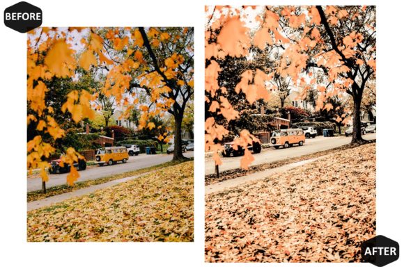 36 پریست لایت روم 2022 فوق حرفه ای تم پاییز روشن Bright Fall Lightroom Presets 36 پریست لایت روم 2022 فوق حرفه ای تم پاییز روشن Bright Fall Lightroom Presets