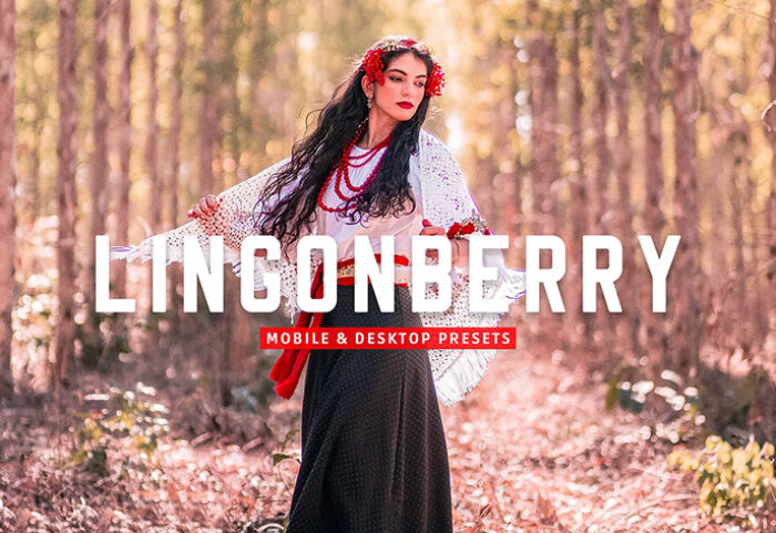40 پریست لایت روم و پریست کمرا راو و اکشن فتوشاپ Lingonberry Lightroom Presets