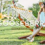 40 پریست لایت روم و پریست کمرا راو و اکشن فتوشاپ تم انگور فرنگی Gooseberry Lightroom Presets