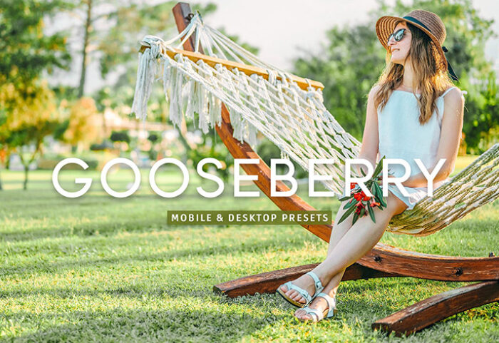 40 پریست لایت روم و پریست کمرا راو و اکشن فتوشاپ تم انگور فرنگی Gooseberry Lightroom Presets