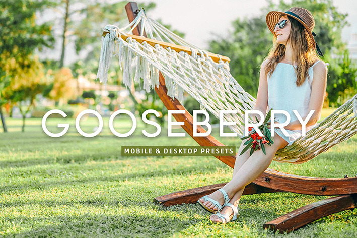 40 پریست لایت روم و پریست کمرا راو و اکشن فتوشاپ تم انگور فرنگی Gooseberry Lightroom Presets 40 پریست لایت روم و پریست کمرا راو و اکشن فتوشاپ تم انگور فرنگی Gooseberry Lightroom Presets