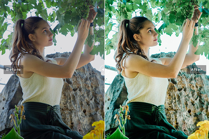 40 پریست لایت روم و پریست کمرا راو و اکشن فتوشاپ تم انگور فرنگی Gooseberry Lightroom Presets 40 پریست لایت روم و پریست کمرا راو و اکشن فتوشاپ تم انگور فرنگی Gooseberry Lightroom Presets