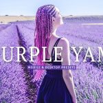 40 پریست لایت روم و پریست کمرا راو و اکشن فتوشاپ تم بنفش Purple Yam Lightroom Presets