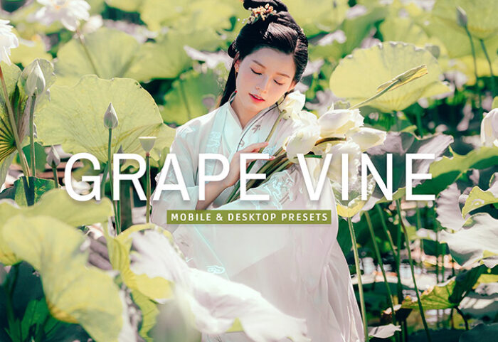 40 پریست لایت روم و پریست کمرا راو و اکشن فتوشاپ تم رنگی انگور Grape Vine Lightroom Presets