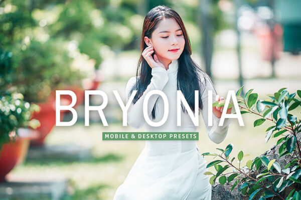 40 پریست لایت روم و پریست کمرا راو و اکشن فتوشاپ تم رنگی بریونیا Bryonia Lightroom Presets