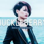 40 پریست لایت روم و پریست کمرا راو و اکشن فتوشاپ تم رنگی توت سیاه Huckleberry Lightroom Presets