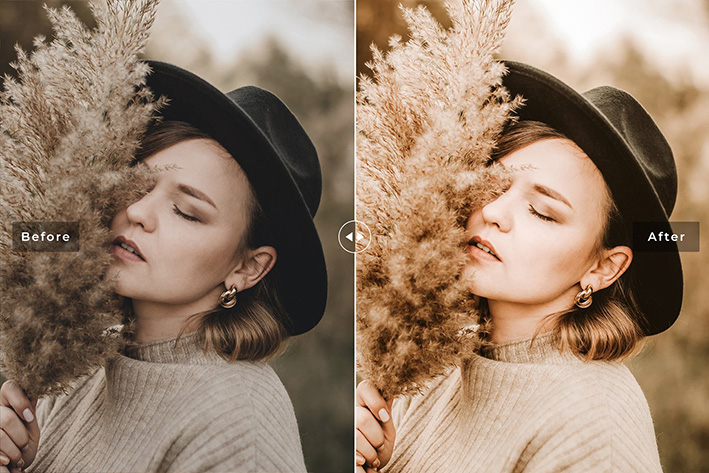 40 پریست لایت روم و پریست کمرا راو و اکشن فتوشاپ تم رنگی دانشگاه Academia Lightroom Presets