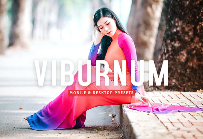40 پریست لایت روم و پریست کمرا راو و اکشن فتوشاپ تم رنگی گرم Viburnum Lightroom Presets