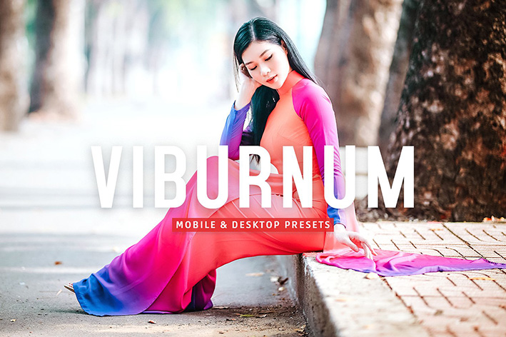 40 پریست لایت روم و پریست کمرا راو و اکشن فتوشاپ تم رنگی گرم Viburnum Lightroom Presets 40 پریست لایت روم و پریست کمرا راو و اکشن فتوشاپ تم رنگی گرم Viburnum Lightroom Presets