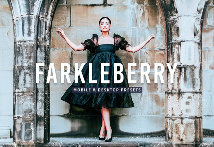 40 پریست لایت روم و پریست کمرا راو و اکشن فتوشاپ تم سینماتیک آبی Farkleberry Lightroom Presets
