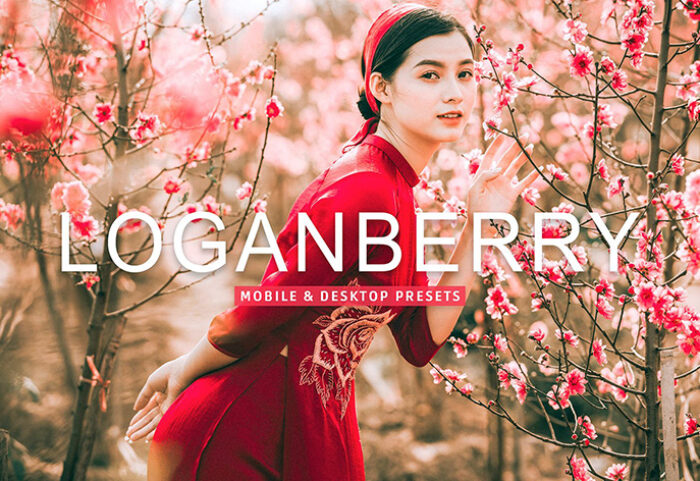40 پریست لایت روم و پریست کمرا راو و اکشن فتوشاپ تم پرتره Loganberry Lightroom Presets