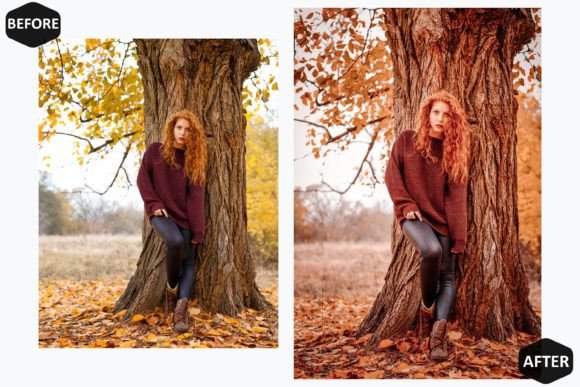20 پریست لایت روم 2022 حرفه ای تم پاییز سر زنده Alive Autumn Lightroom Presets