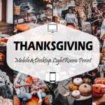 24 پریست لایت روم 2022 حرفه ای سینمایی جشن شکرگزاری Thanksgiving Lightroom Presets